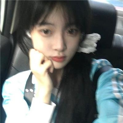 掌门女婿